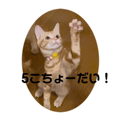 [LINEスタンプ] いもスタ1