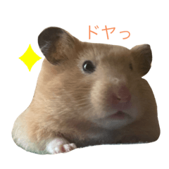 [LINEスタンプ] いやしのさく