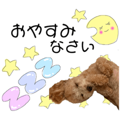 [LINEスタンプ] MOCOスタンプ˙ᴥ˙