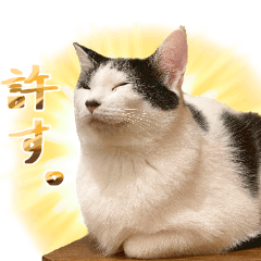 [LINEスタンプ] ねこ空間チャモラ1