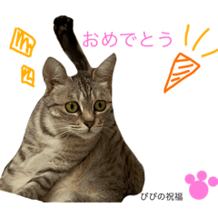 [LINEスタンプ] ぴぴちゃん2♡