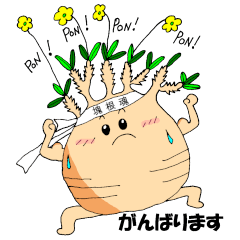 [LINEスタンプ] 塊根植物グラキリスの日常