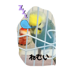 [LINEスタンプ] うちのいんこの日常第二だんの画像（メイン）