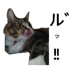 [LINEスタンプ] うちのゲべちゃん2