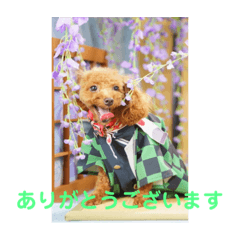 [LINEスタンプ] 愛月と友達ワン子