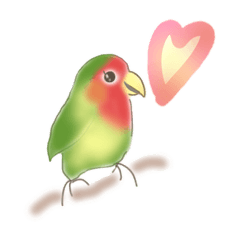 [LINEスタンプ] アボカド色の鳥