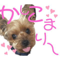 [LINEスタンプ] ran❤︎part2