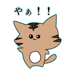 [LINEスタンプ] 大きな顔ねこ