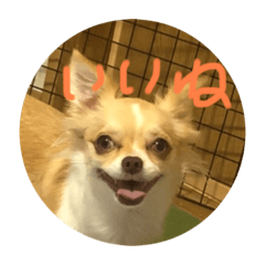 [LINEスタンプ] はるちゃん その8