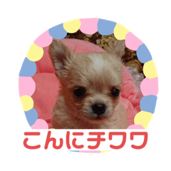 [LINEスタンプ] モンシェリー2