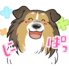 [LINEスタンプ] 【犬】日常系スタンプ【シェルティ】
