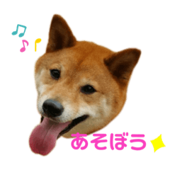 [LINEスタンプ] だいちゃん好きのためのスタンプ第二弾