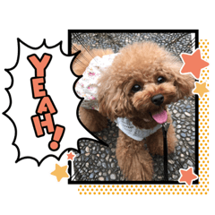[LINEスタンプ] くるみのスタンプPart7