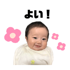 [LINEスタンプ] hikachan.stamp