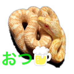 [LINEスタンプ] 爬虫類系