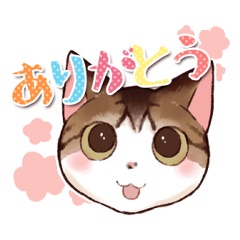 [LINEスタンプ] キジ白にゃんこ☆ちかのあいさつスタンプ