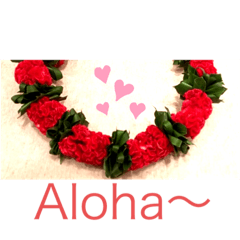 Aloha  Lei / アロハ レイ ハワイ
