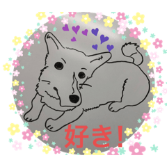 [LINEスタンプ] イワモトコー