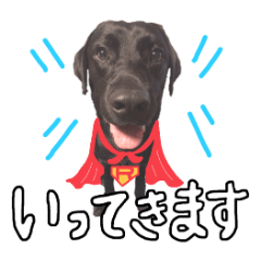 [LINEスタンプ] 黒ラブのロワ君スタンプ2