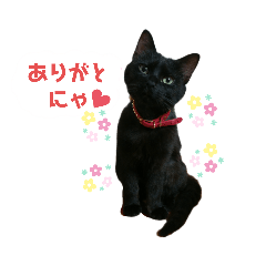 [LINEスタンプ] ギジアメクロスタンプ