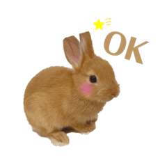 [LINEスタンプ] うさぎのうにさん(敬語、量産型ver.)