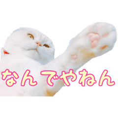 [LINEスタンプ] ゴヤモコスタンプ★日常編