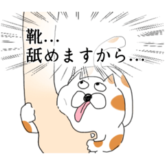 [LINEスタンプ] 媚びを売るぶち猫