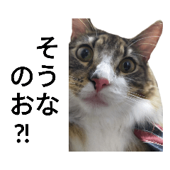 [LINEスタンプ] うちのゲべ3