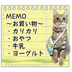 [LINEスタンプ] キジトラ猫の写真スタンプ【メッセージ】の画像（メイン）