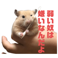 [LINEスタンプ] どうも、ハムスターのウニです。2
