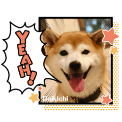 [LINEスタンプ] 大吉＆福の使えるスタンプ