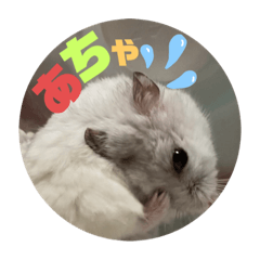 [LINEスタンプ] バニラッティ