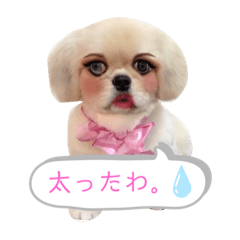 [LINEスタンプ] えるのスタンプ③