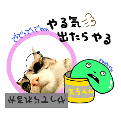 [LINEスタンプ] 三毛と白 ニャンズの日常