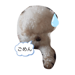 [LINEスタンプ] ☆コタロウ☆