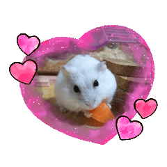 [LINEスタンプ] しろみの日常