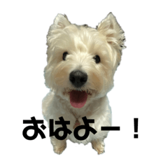 [LINEスタンプ] Anneちゃんち