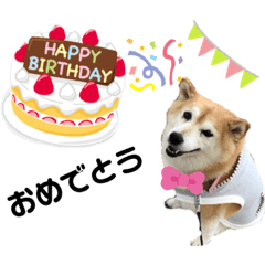 [LINEスタンプ] 柴犬らんの日常⑤