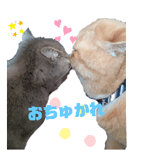 [LINEスタンプ] だいずとトトロ