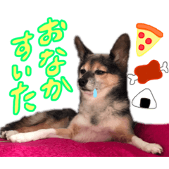 [LINEスタンプ] 僕、キーにゃん！(猫ではない)