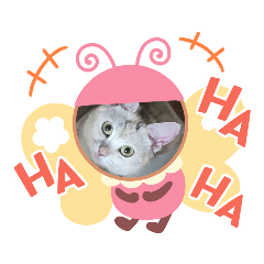 [LINEスタンプ] みるくここあ！のスタンプ！