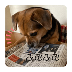 [LINEスタンプ] エライザの日常①