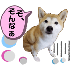 [LINEスタンプ] かりんでございますぅ。