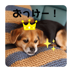 [LINEスタンプ] エライザの日常②