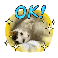 [LINEスタンプ] ピー助じーさんスタンプ
