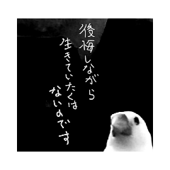 [LINEスタンプ] 文鳥メッセージ