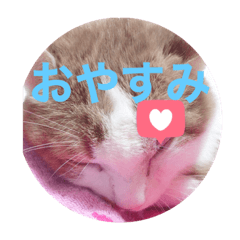 [LINEスタンプ] Iluv…SORA