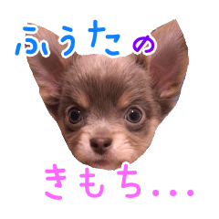 [LINEスタンプ] ふぅたのきもち