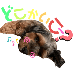 [LINEスタンプ] こじ郎スタンプ2