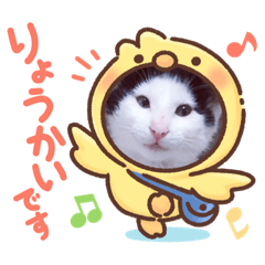 [LINEスタンプ] おかっぱマロちゃんスタンプ2